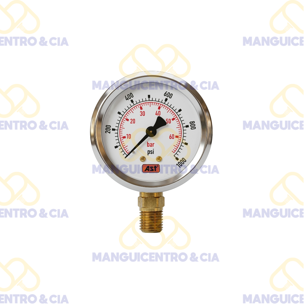 Manómetro Radial AST Seco 2 1/2" – 1000 PSI